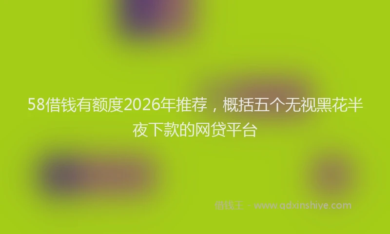 58借钱有额度2026年推荐,概括五个无视黑花半夜下款的网贷平台