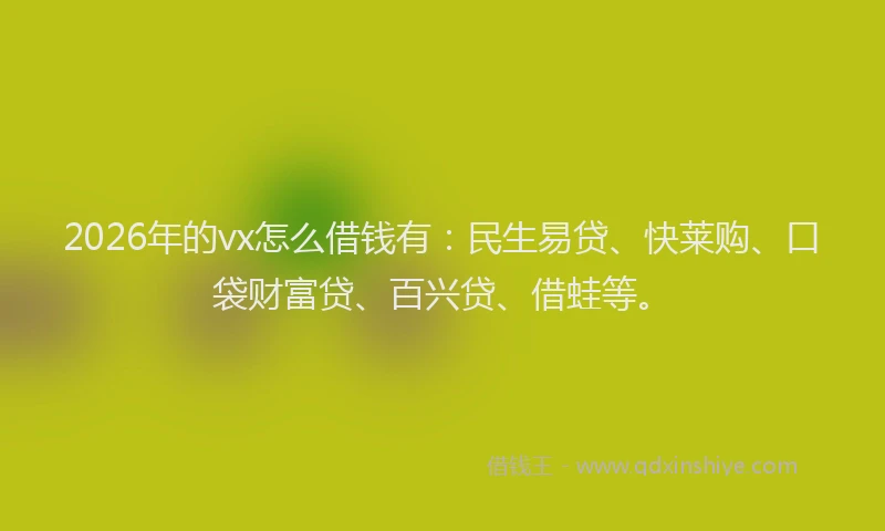 2026年的vx怎么借钱有:民生易贷、快莱购、口袋财富贷、百兴贷、借蛙等。