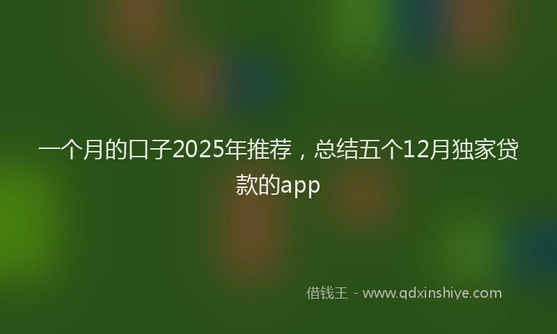 一个月的口子2025年推荐，总结五个12月独家贷款的app