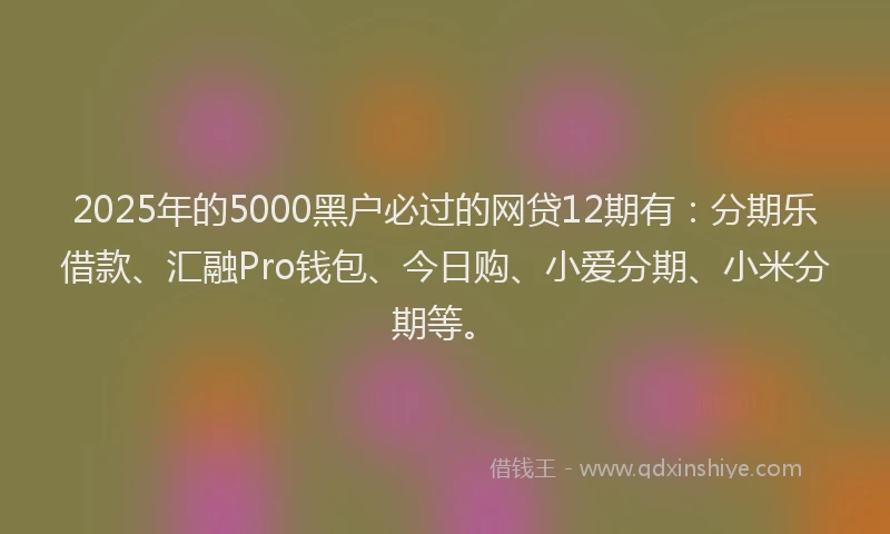 2025年的5000黑户必过的网贷12期有：分期乐借款、汇融Pro钱包、今日购、小爱分期、小米分期等。