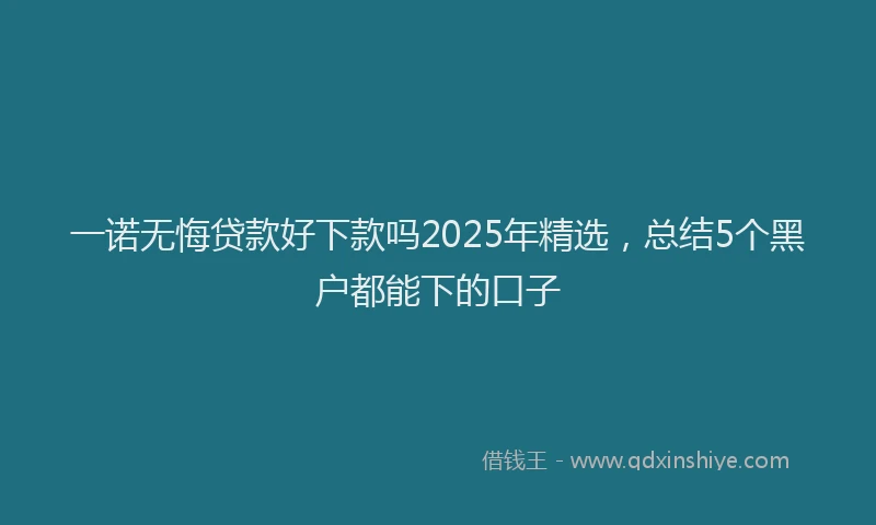 一诺无悔贷款好下款吗2025年精选，总结5个黑户都能下的口子