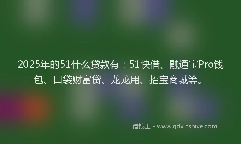 2025年的51什么贷款有：51快借、融通宝Pro钱包、口袋财富贷、龙龙用、招宝商城等。