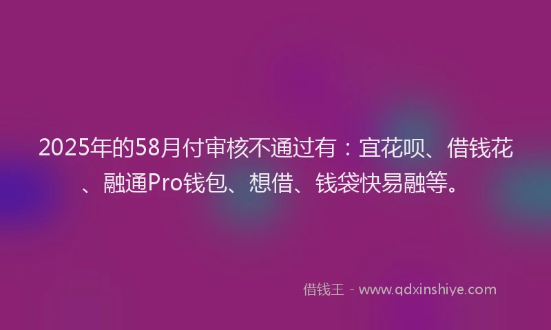 2025年的58月付审核不通过有：宜花呗、借钱花、融通Pro钱包、想借、钱袋快易融等。