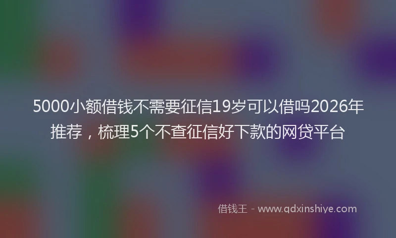 5000小额借钱不需要征信19岁可以借吗2026年推荐，梳理5个不查征信好下款的网贷平台