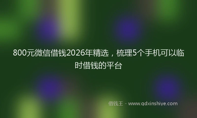 800元微信借钱2026年精选，梳理5个手机可以临时借钱的平台