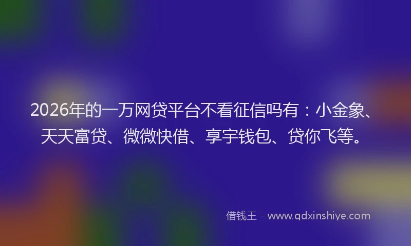 2026年的一万网贷平台不看征信吗有：小金象、天天富贷、微微快借、享宇钱包、贷你飞等。