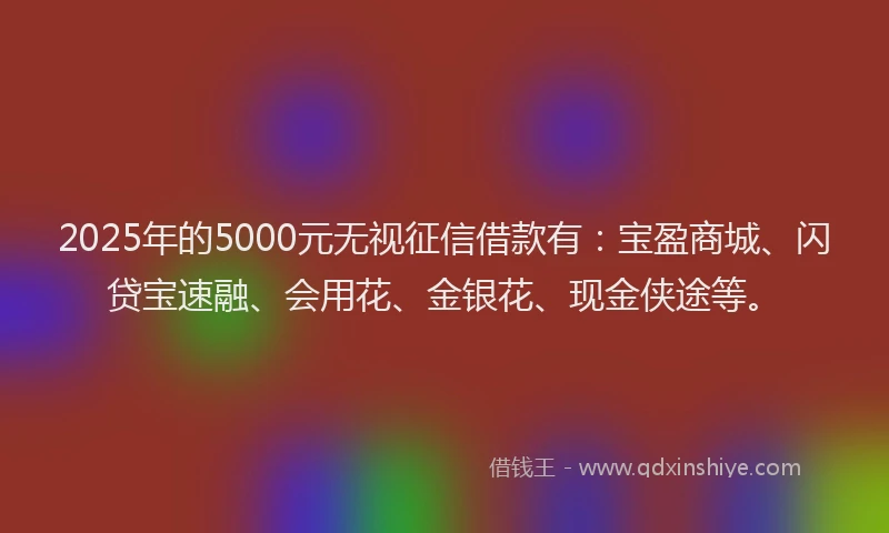 2025年的5000元无视征信借款有:宝盈商城、闪贷宝速融、会用花、金银花、现金侠途等。
