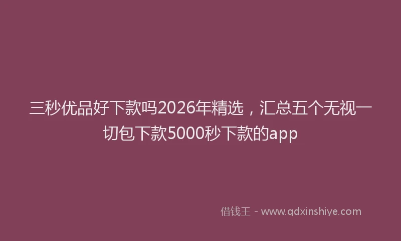 三秒优品好下款吗2026年精选，汇总五个无视一切包下款5000秒下款的app