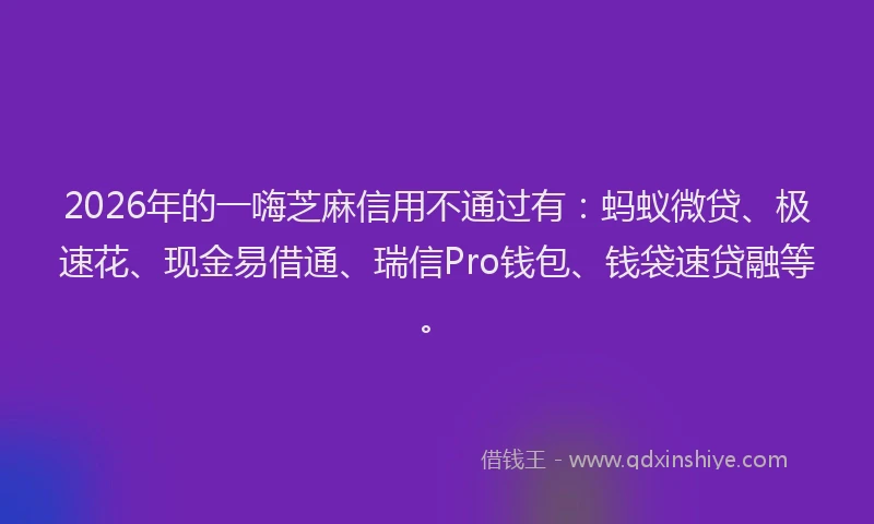 2026年的一嗨芝麻信用不通过有：蚂蚁微贷、极速花、现金易借通、瑞信Pro钱包、钱袋速贷融等。