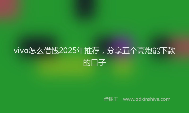 vivo怎么借钱2025年推荐,分享五个高炮能下款的口子