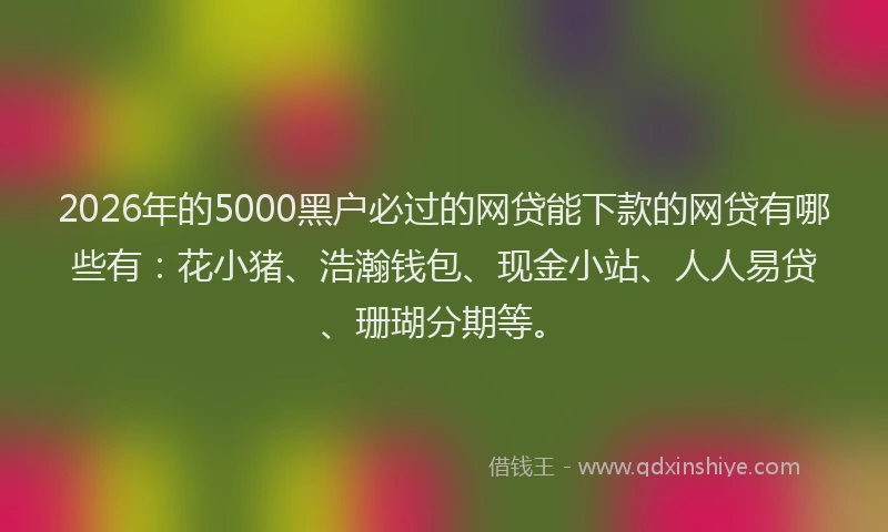 2026年的5000黑户必过的网贷能下款的网贷有哪些有：花小猪、浩瀚钱包、现金小站、人人易贷、珊瑚分期等。