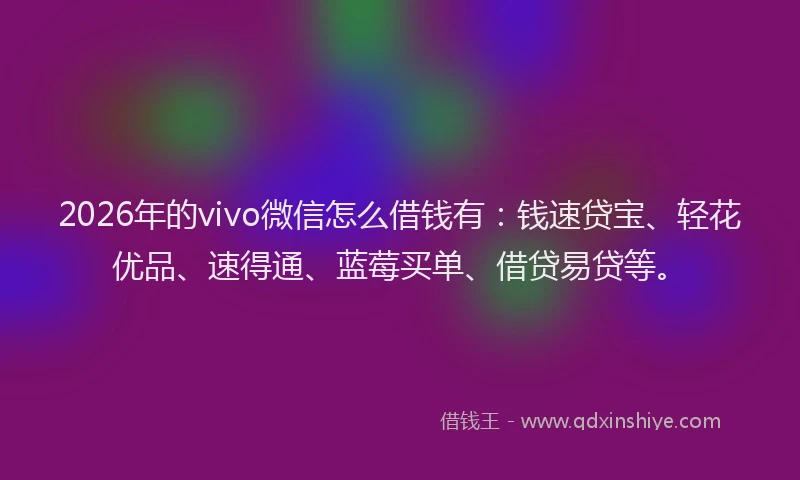 2026年的vivo微信怎么借钱有：钱速贷宝、轻花优品、速得通、蓝莓买单、借贷易贷等。