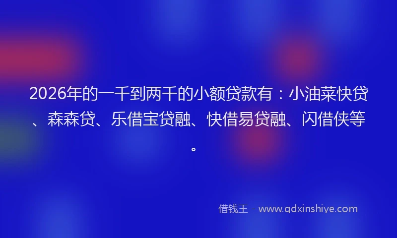 2026年的一千到两千的小额贷款有：小油菜快贷、森森贷、乐借宝贷融、快借易贷融、闪借侠等。
