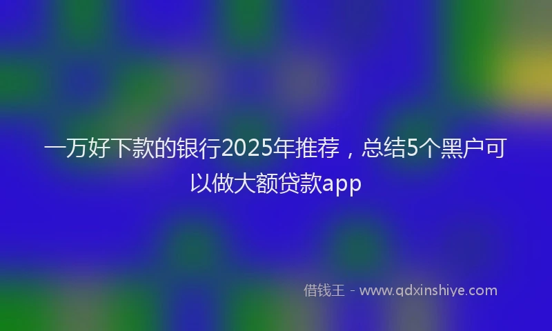 一万好下款的银行2025年推荐，总结5个黑户可以做大额贷款app