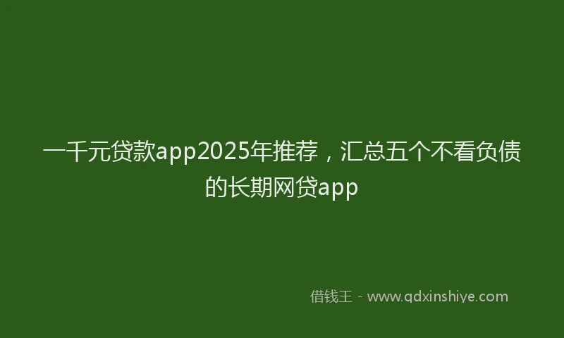 一千元贷款app2025年推荐，汇总五个不看负债的长期网贷app