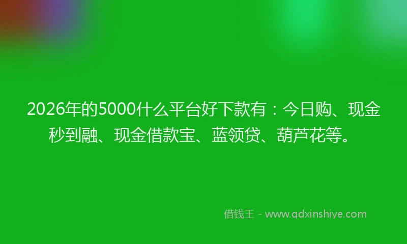 2026年的5000什么平台好下款有：今日购、现金秒到融、现金借款宝、蓝领贷、葫芦花等。