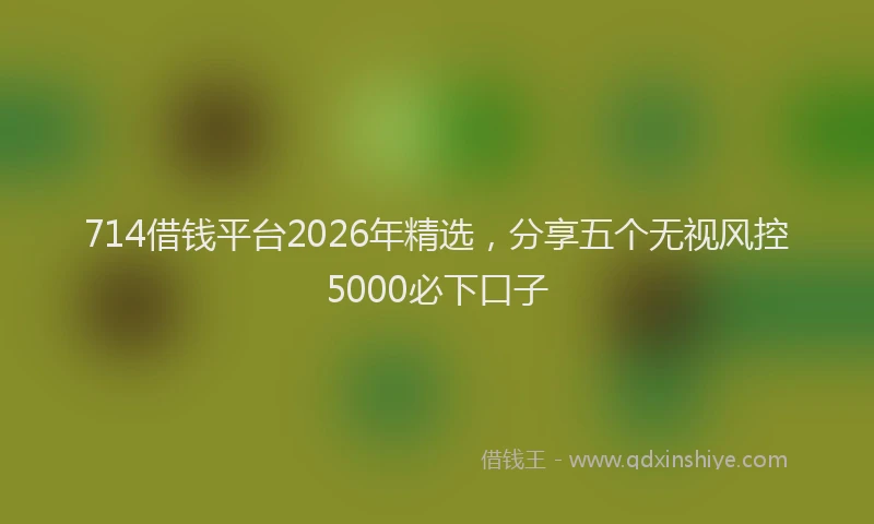 714借钱平台2026年精选，分享五个无视风控5000必下口子