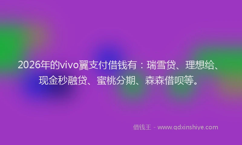 2026年的vivo翼支付借钱有:瑞雪贷、理想给、现金秒融贷、蜜桃分期、森森借呗等。
