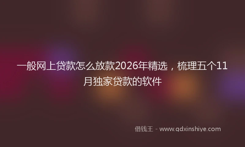 一般网上贷款怎么放款2026年精选，梳理五个11月独家贷款的软件