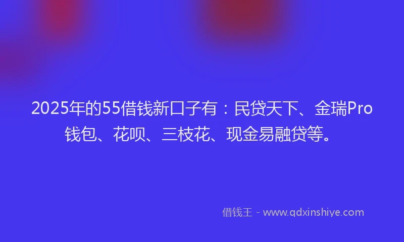 2025年的55借钱新口子有:民贷天下、金瑞Pro钱包、花呗、三枝花、现金易融贷等。