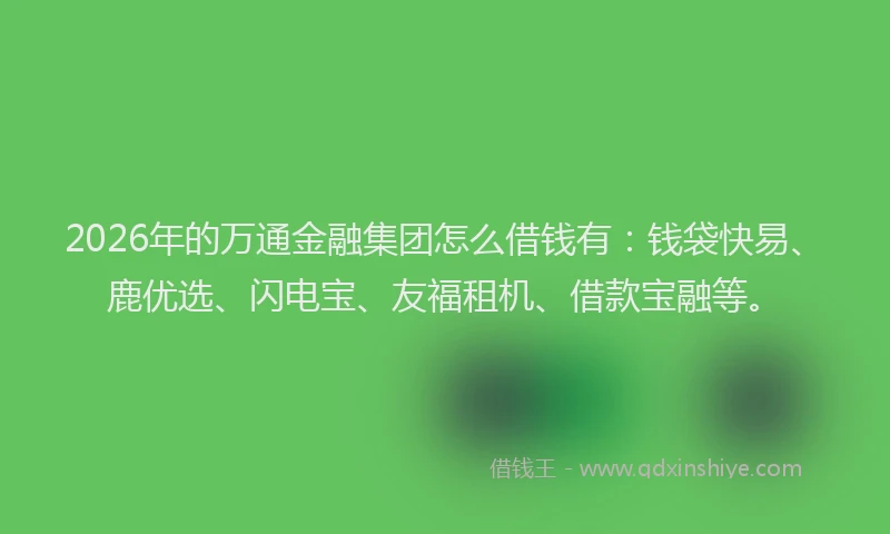 2026年的万通金融集团怎么借钱有：钱袋快易、鹿优选、闪电宝、友福租机、借款宝融等。