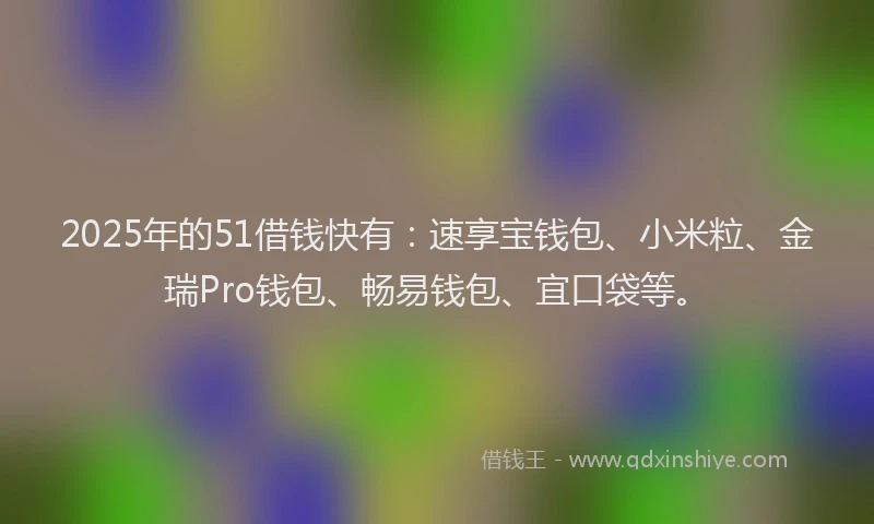 2025年的51借钱快有：速享宝钱包、小米粒、金瑞Pro钱包、畅易钱包、宜口袋等。