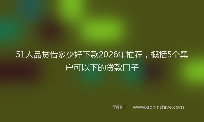 51人品贷借多少好下款2026年推荐，概括5个黑户可以下的贷款口子