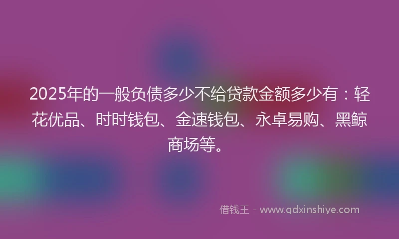 2025年的一般负债多少不给贷款金额多少有：轻花优品、时时钱包、金速钱包、永卓易购、黑鲸商场等。