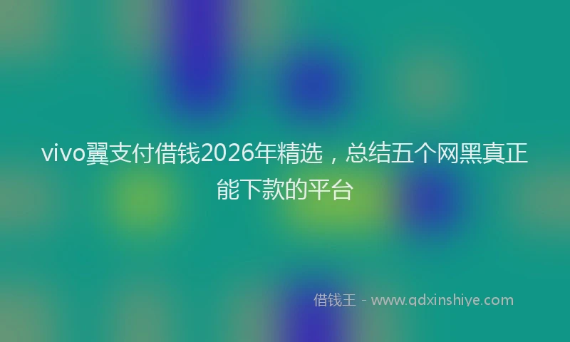 vivo翼支付借钱2026年精选，总结五个网黑真正能下款的平台