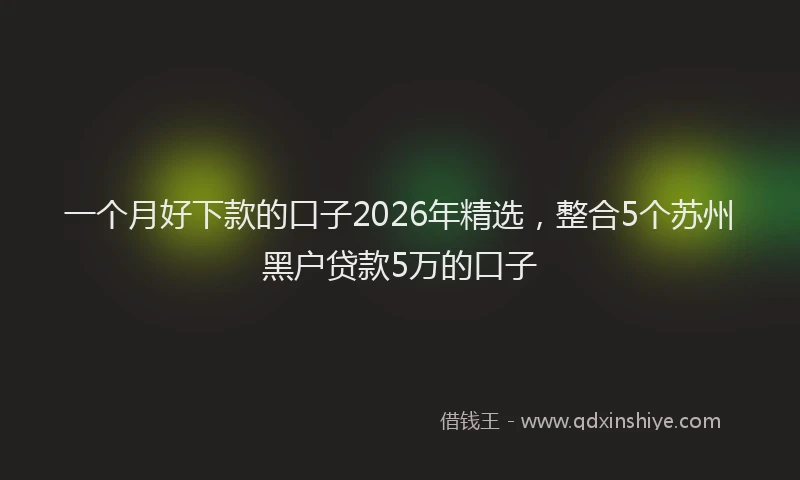 一个月好下款的口子2026年精选，整合5个苏州黑户贷款5万的口子