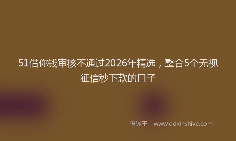 51借你钱审核不通过2026年精选，整合5个无视征信秒下款的口子