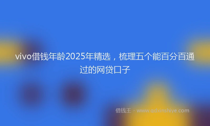 vivo借钱年龄2025年精选，梳理五个能百分百通过的网贷口子