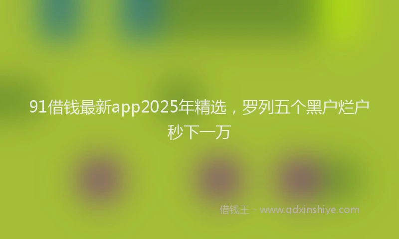 91借钱最新app2025年精选，罗列五个黑户烂户秒下一万