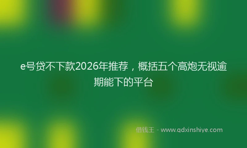 e号贷不下款2026年推荐，概括五个高炮无视逾期能下的平台