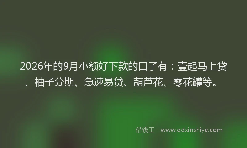 2026年的9月小额好下款的口子有:壹起马上贷、柚子分期、急速易贷、葫芦花、零花罐等。