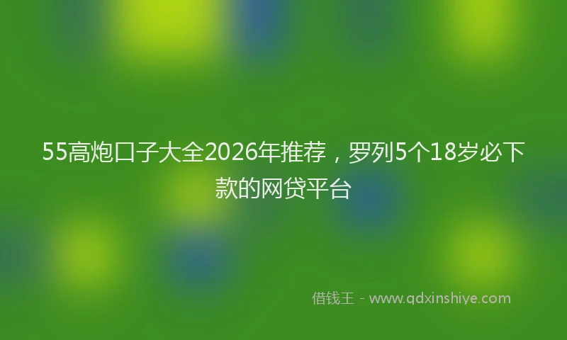 55高炮口子大全2026年推荐,罗列5个18岁必下款的网贷平台
