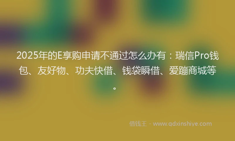 2025年的E享购申请不通过怎么办有：瑞信Pro钱包、友好物、功夫快借、钱袋瞬借、爱蹦商城等。