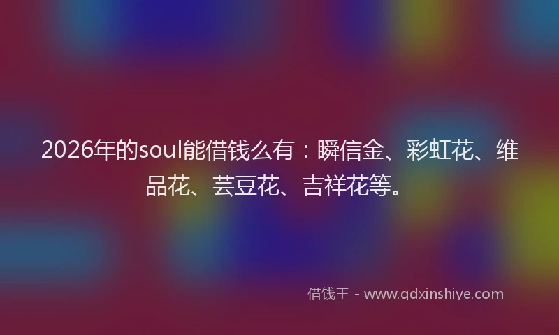 2026年的soul能借钱么有：瞬信金、彩虹花、维品花、芸豆花、吉祥花等。