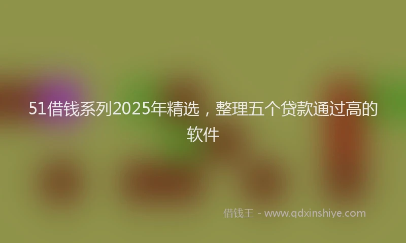 51借钱系列2025年精选，整理五个贷款通过高的软件