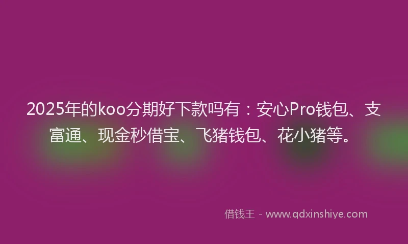 2025年的koo分期好下款吗有：安心Pro钱包、支富通、现金秒借宝、飞猪钱包、花小猪等。