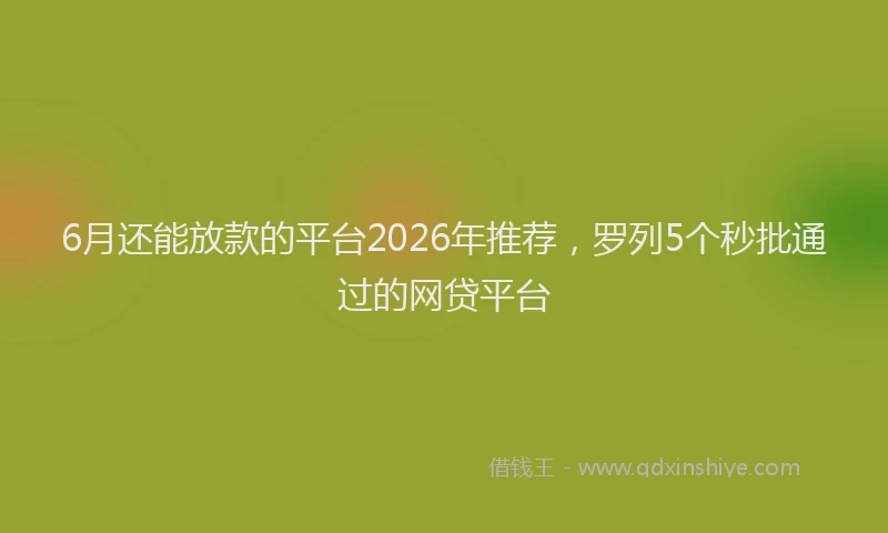 6月还能放款的平台2026年推荐，罗列5个秒批通过的网贷平台
