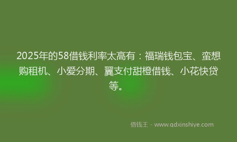 2025年的58借钱利率太高有：福瑞钱包宝、蛮想购租机、小爱分期、翼支付甜橙借钱、小花快贷等。