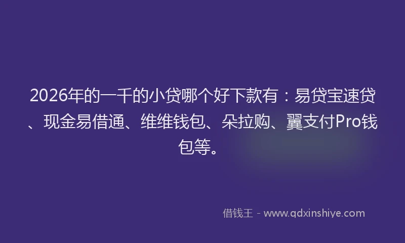 2026年的一千的小贷哪个好下款有：易贷宝速贷、现金易借通、维维钱包、朵拉购、翼支付Pro钱包等。