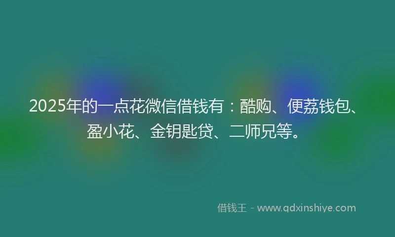 2025年的一点花微信借钱有：酷购、便荔钱包、盈小花、金钥匙贷、二师兄等。
