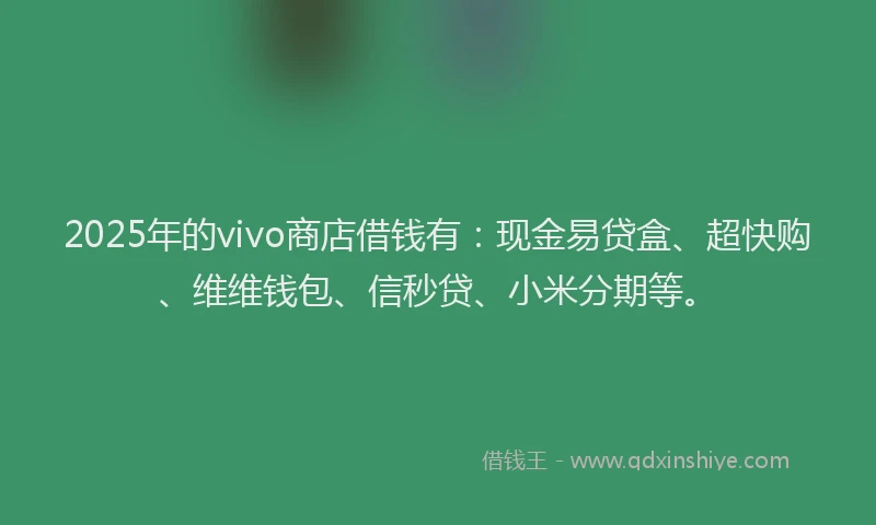 2025年的vivo商店借钱有：现金易贷盒、超快购、维维钱包、信秒贷、小米分期等。