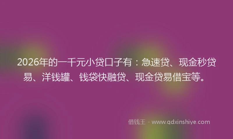 2026年的一千元小贷口子有：急速贷、现金秒贷易、洋钱罐、钱袋快融贷、现金贷易借宝等。