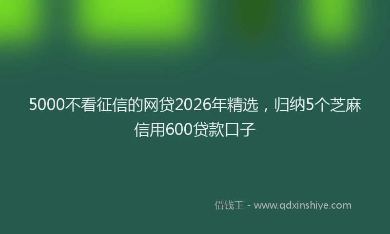 5000不看征信的网贷2026年精选,归纳5个芝麻信用600贷款口子