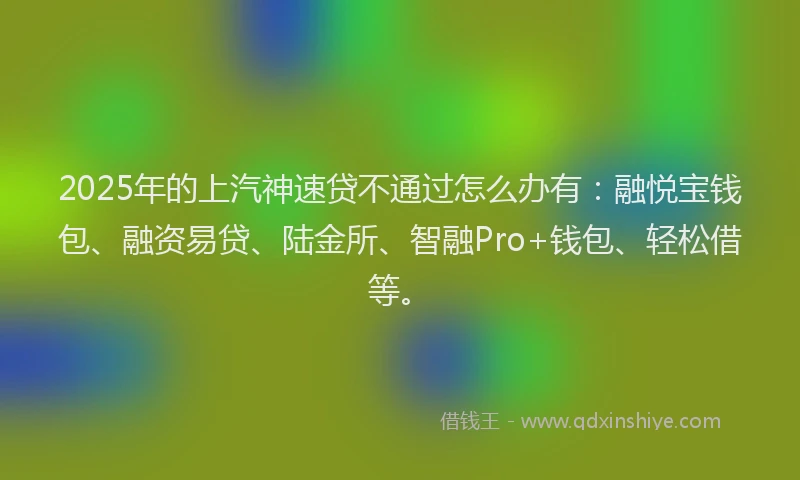 2025年的上汽神速贷不通过怎么办有：融悦宝钱包、融资易贷、陆金所、智融Pro+钱包、轻松借等。