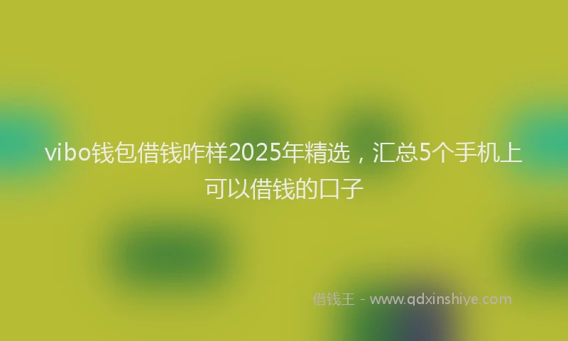 vibo钱包借钱咋样2025年精选，汇总5个手机上可以借钱的口子