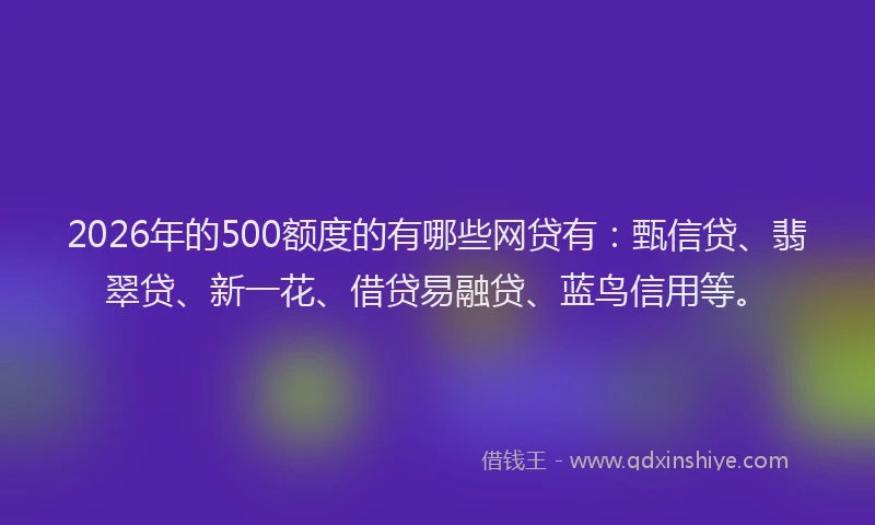 2026年的500额度的有哪些网贷有：甄信贷、翡翠贷、新一花、借贷易融贷、蓝鸟信用等。